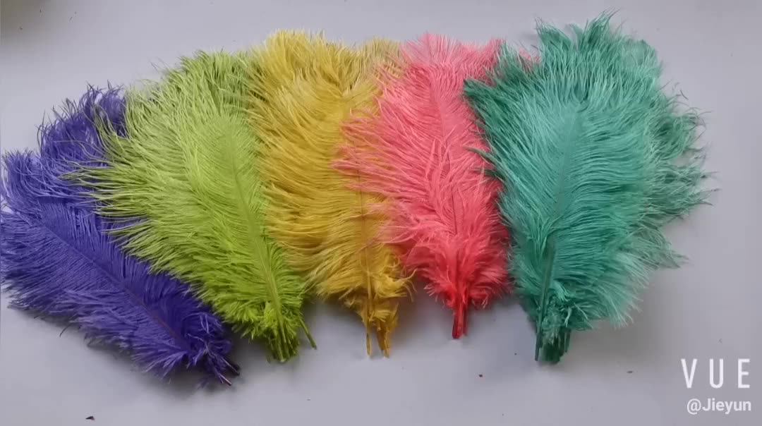 1012 Inch Top Feather Factory No.1 Feather Crafts Ostrich Feather