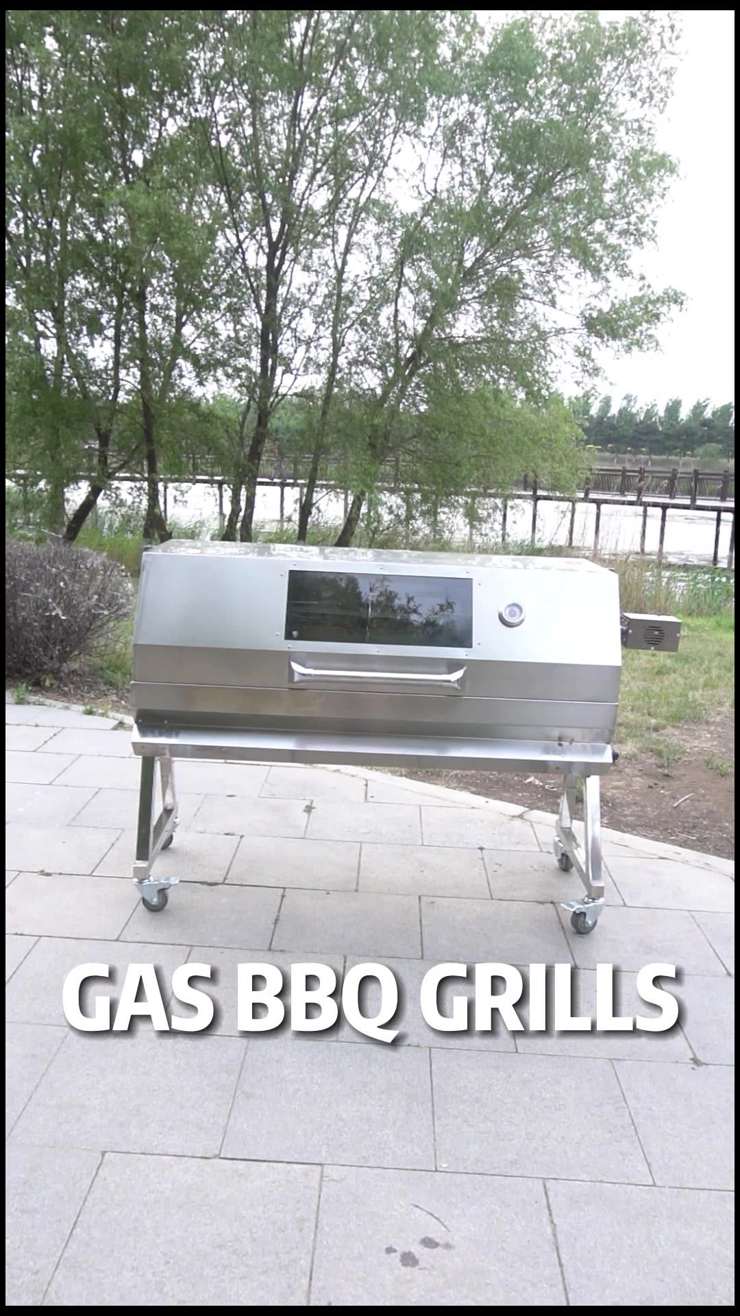 Gas Grill Lamb Pig Bbq Roaster Spit Rotisserie Buy Gas Bbq,Bbq Spit Rotisserie,Bbq Roaster