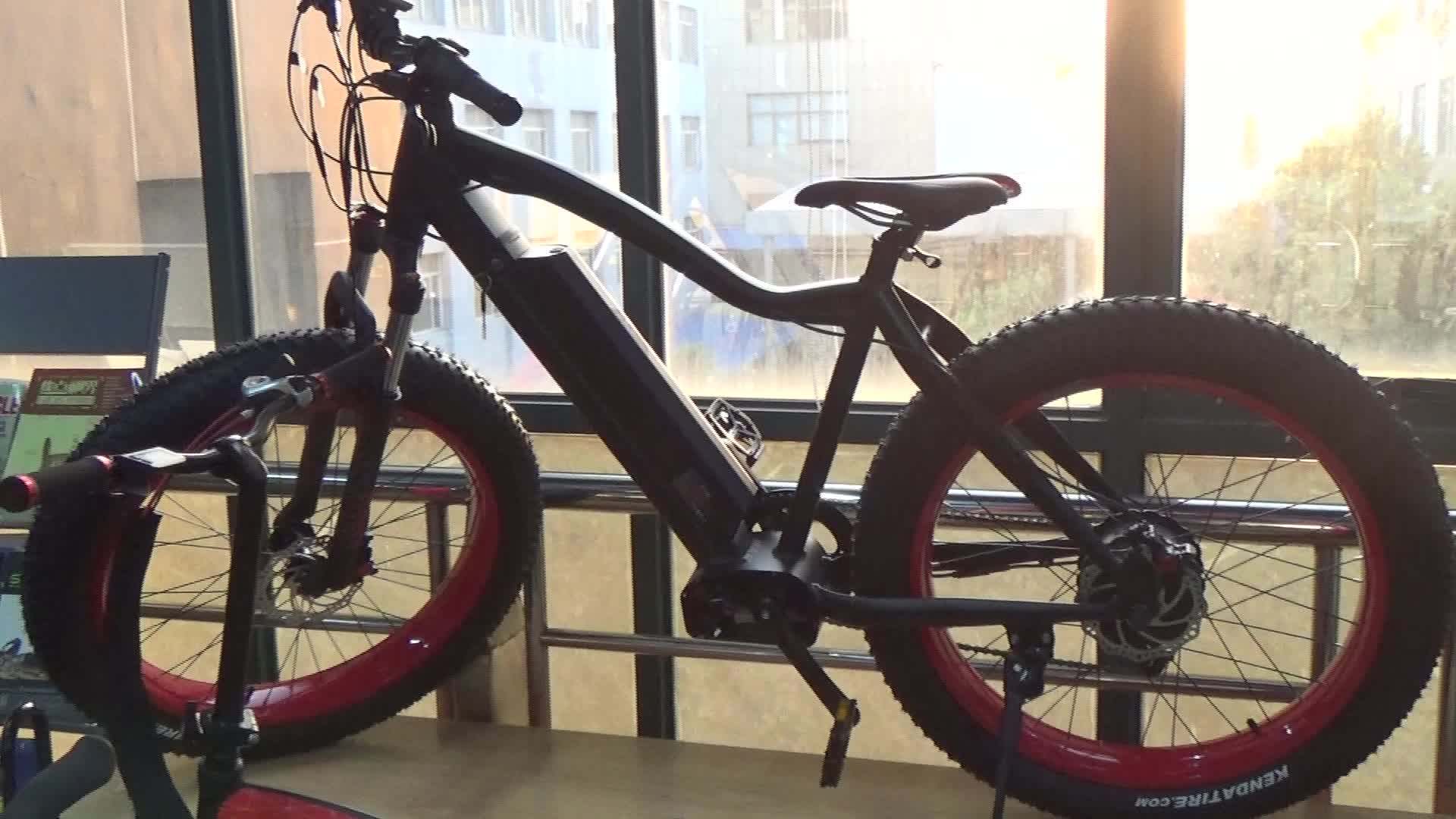 cheap bicycle for adults