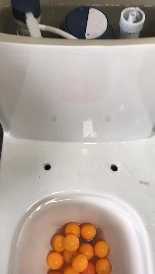 China Composting Wc One Piece Bathroom Toilet Bowl With Seat Bidet