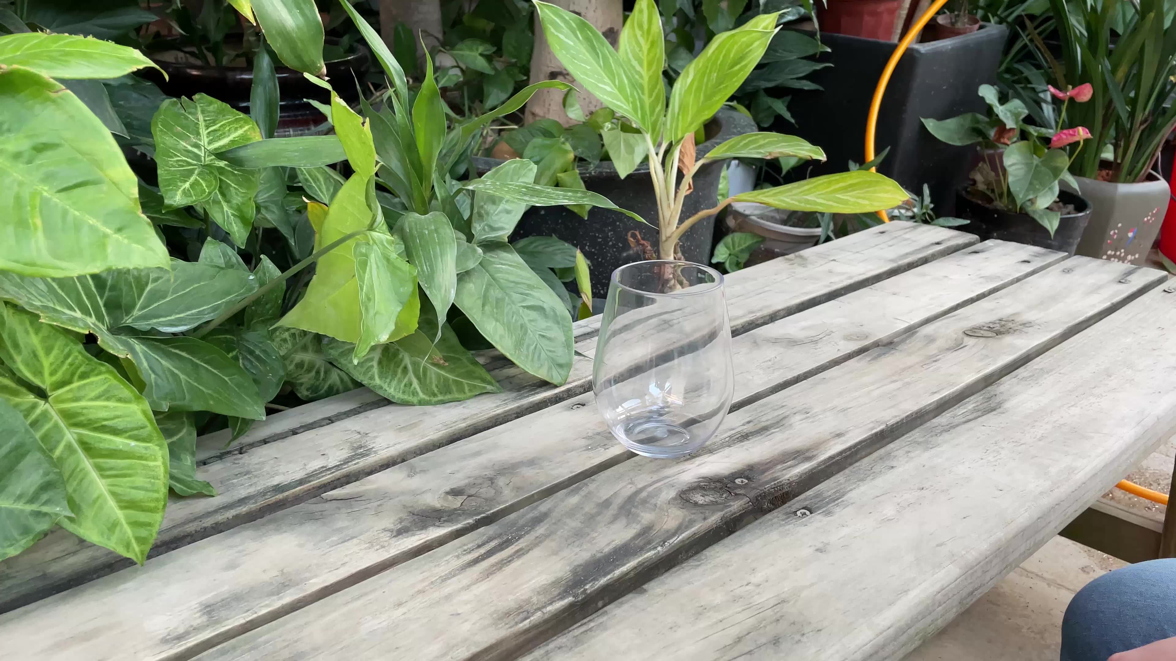 Unbreakable Wine Glasses Stemless Travel Black Wine Cup Crystal Clear