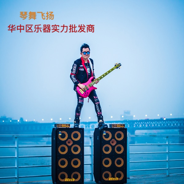 Import of the Italian Markbass Traveler 102P electric bass speaker box