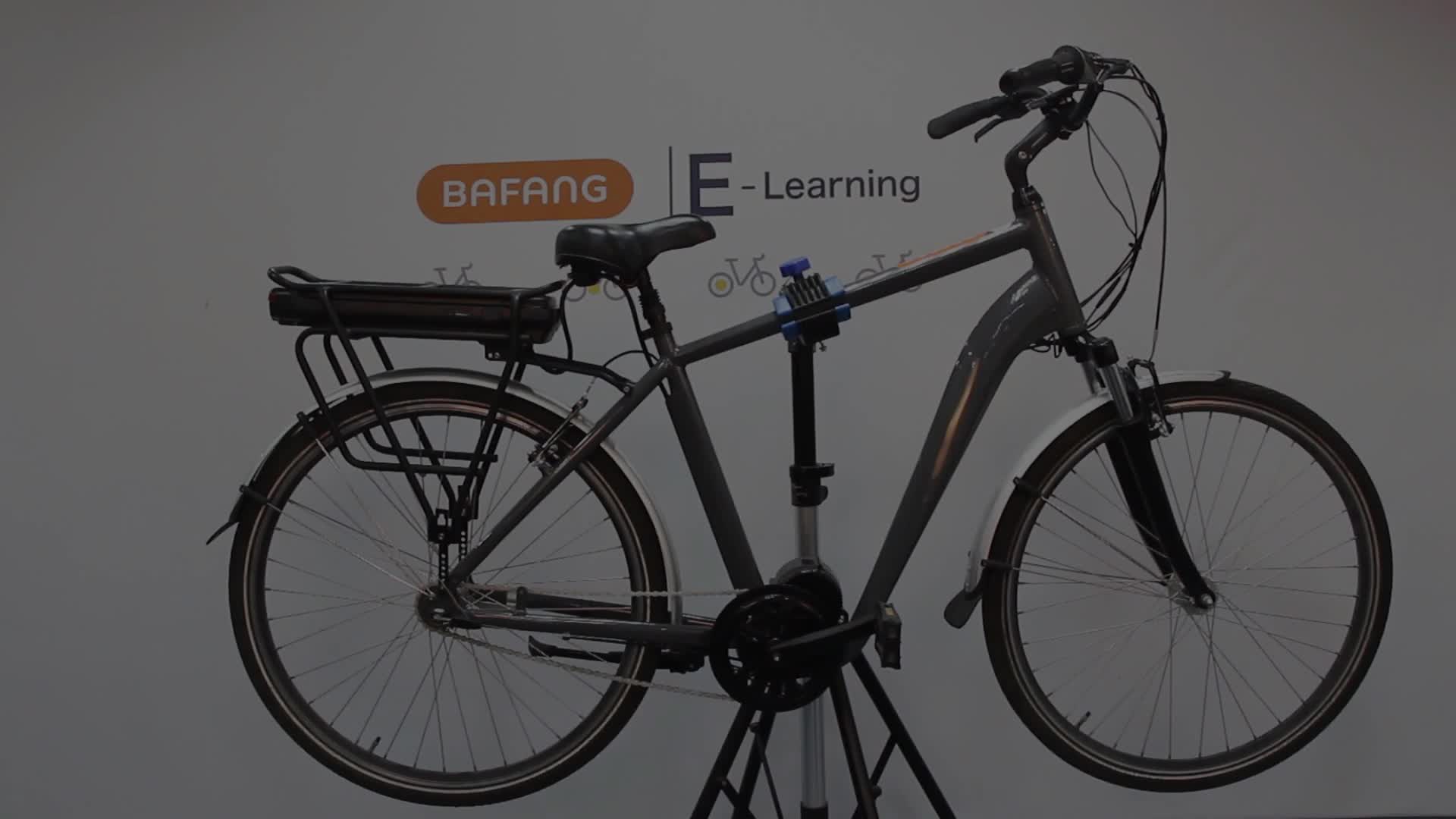 bafang conversion