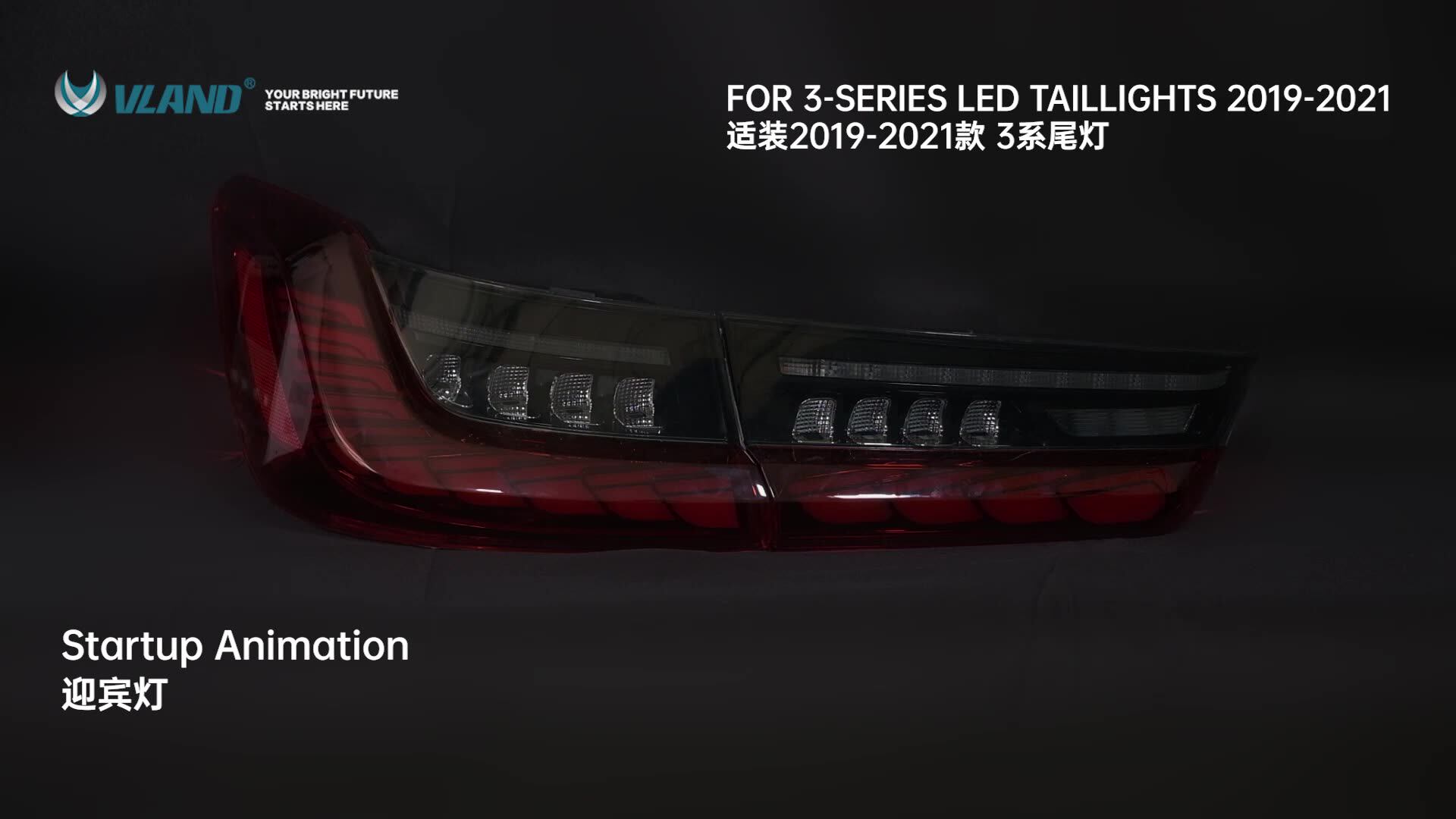 Vland Led Tail Lamp Sequential 3 Series G20 Tail Lights Dragon Scale
