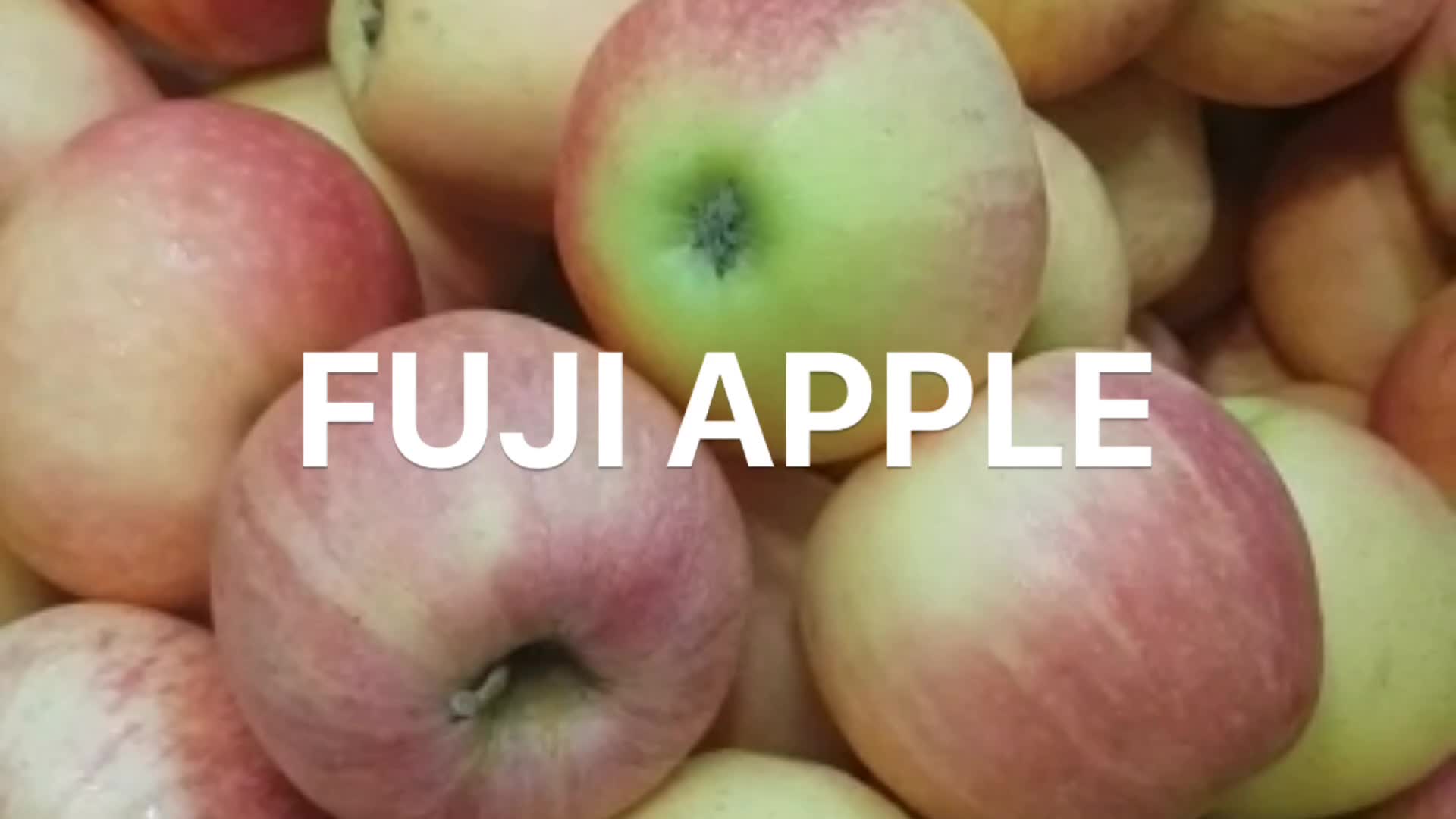 China Apple The Lowest Price Fresh Fuji Apple Buy Fresh Fuji Apple