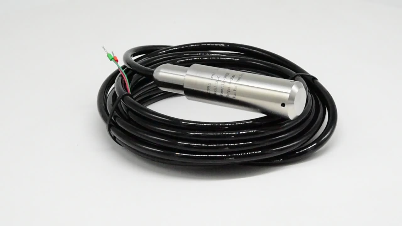 Ip68 Immersion Borehole Water Level Sensor Buy Borehole Water Level