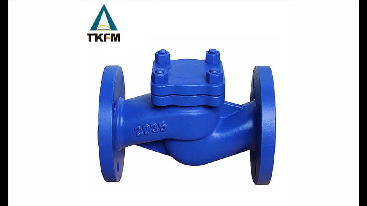 Low Pressure Metal Seat Lift Type 10 Inch Stop Pornd Flap Check Valve