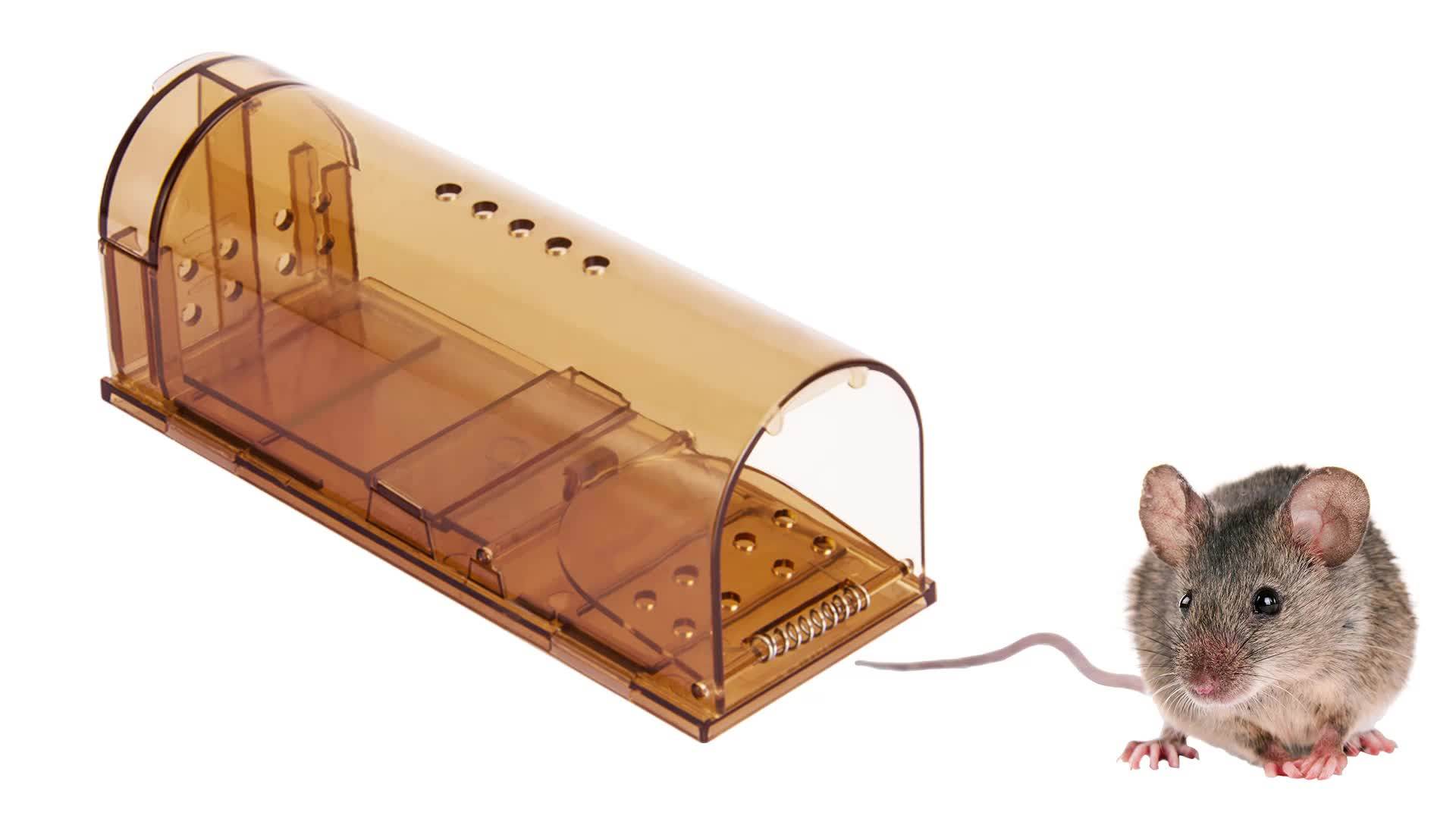 Xpest Smart Humane Mouse Trap Rat Traps Amazon Best Seller Small Plastic Rat Trap From China