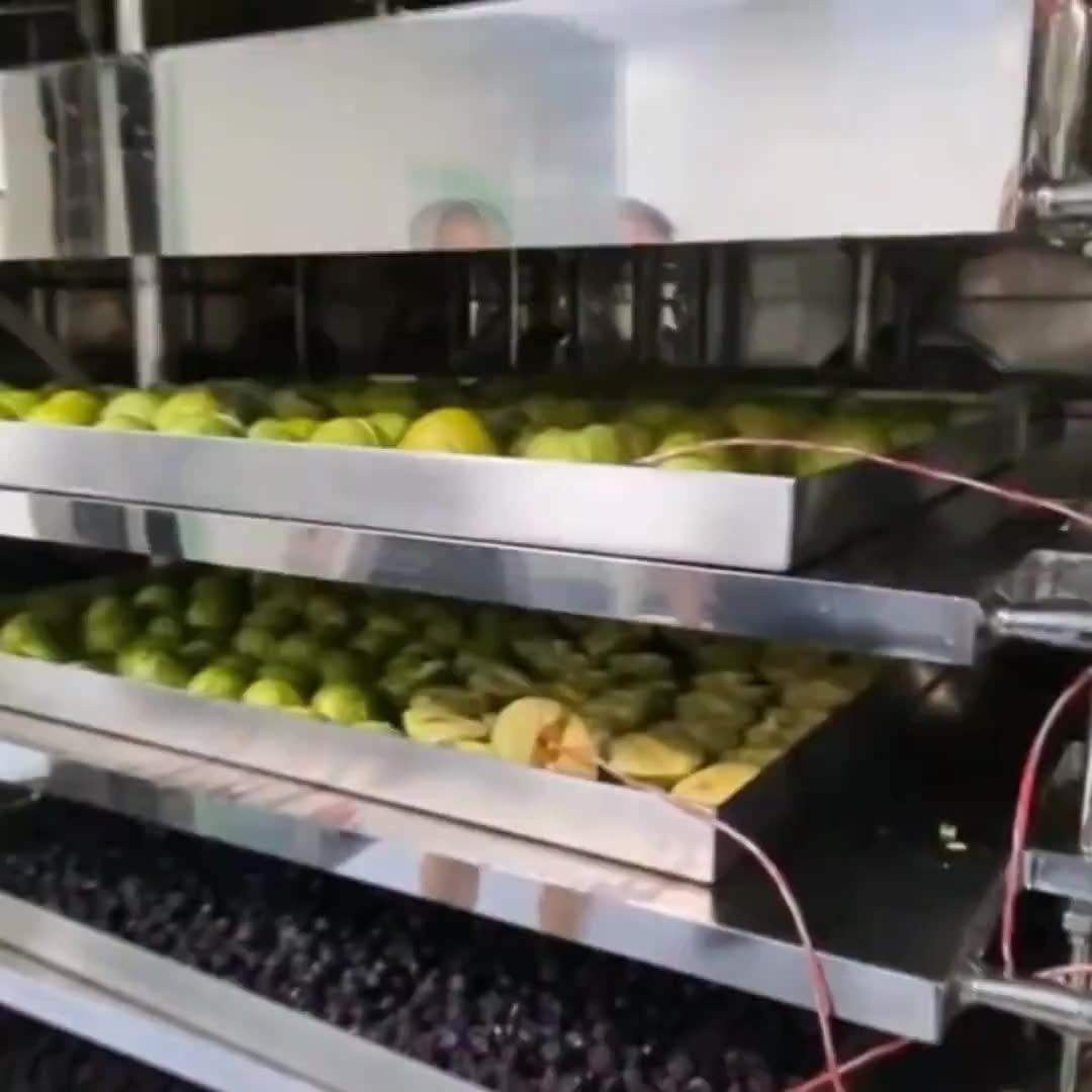 Small Mini Freeze Dryer Machine For Food Vacuum Freeze Drying Machine ...