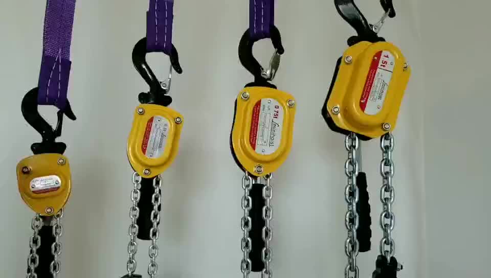 Hoist CL 2065