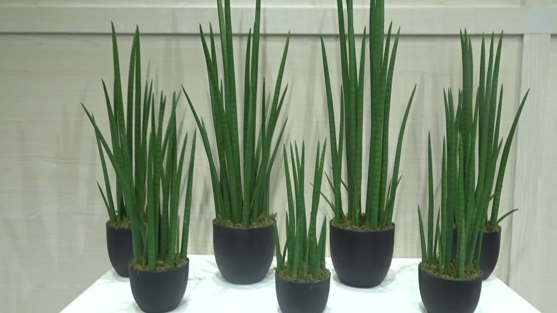 Ecofriendly Sansevieria Snake Tree Artificial Green Plants Plastic