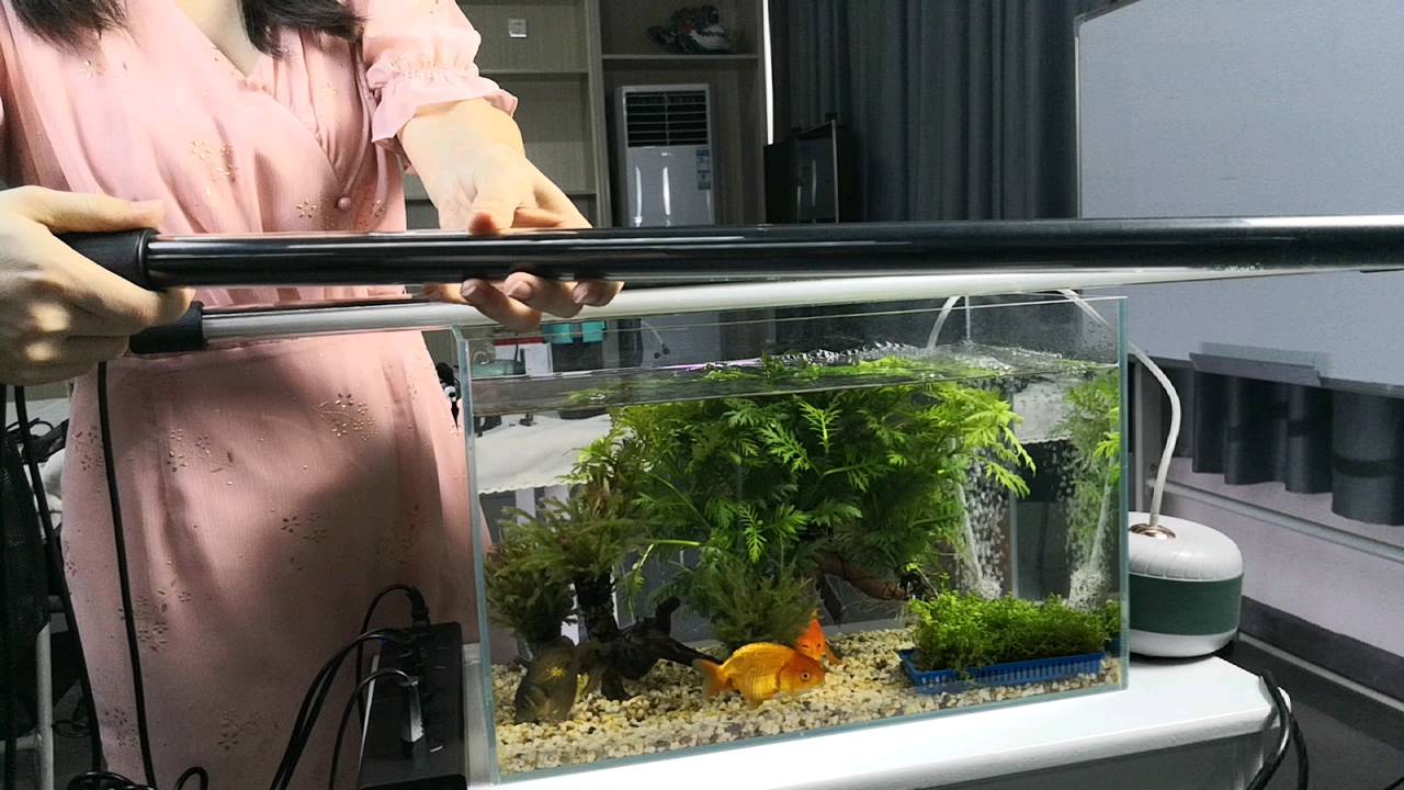 Zaohetian 110V-220V Arowana Light 13000K - Tanning Aquarium
