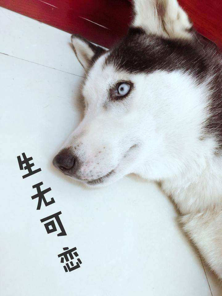 我待客户如初恋
