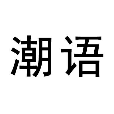 潮语旗舰店