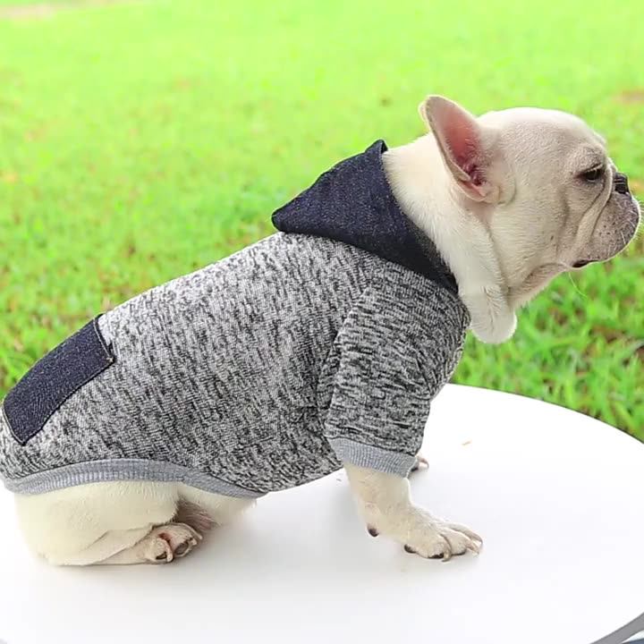 Wholesale Cheap Multicolor Soft Fleece Warm Pet Custom Designer Hoodie