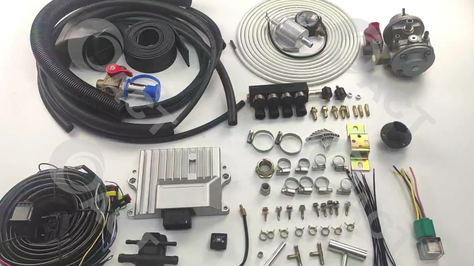 Act 6th Generation Gdi Petrol Direct Injection Full Lpg Engine ...