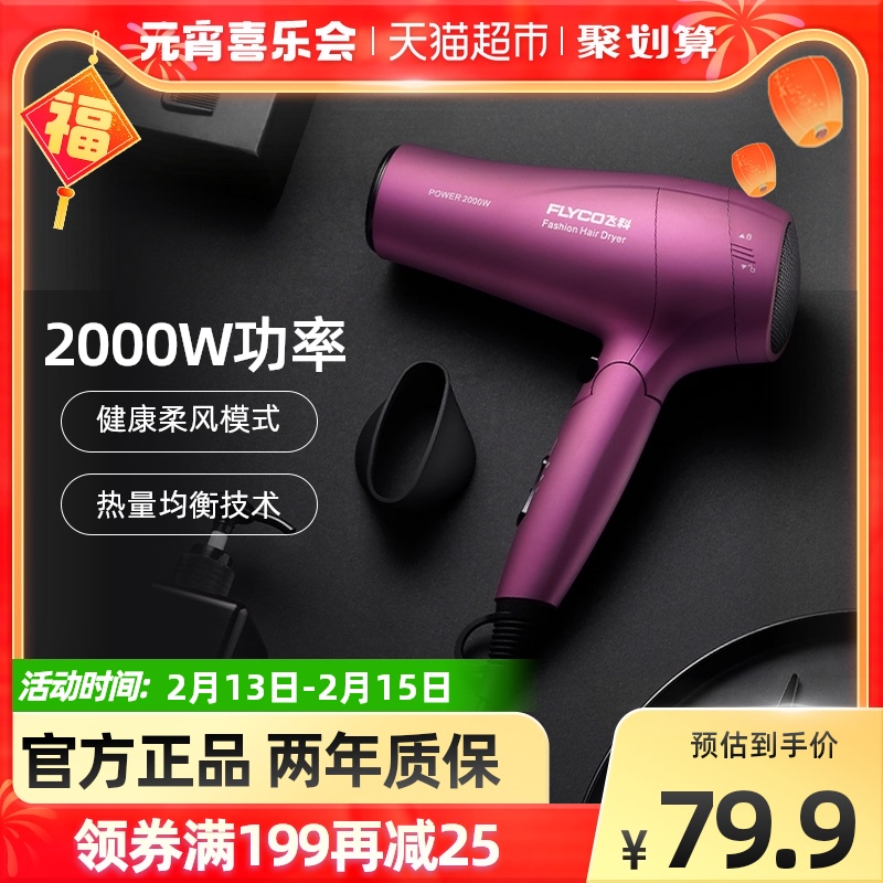 Feike electric hair dryer home barbershop grade negative ion high power student dormitory light sound hair dryer FH6618