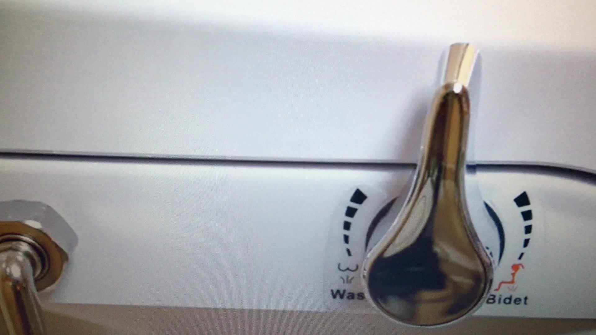 Nzman Bidet Toilet Seat,Toilet Bidet Seat,Manual Bidet Seat A5 Buy