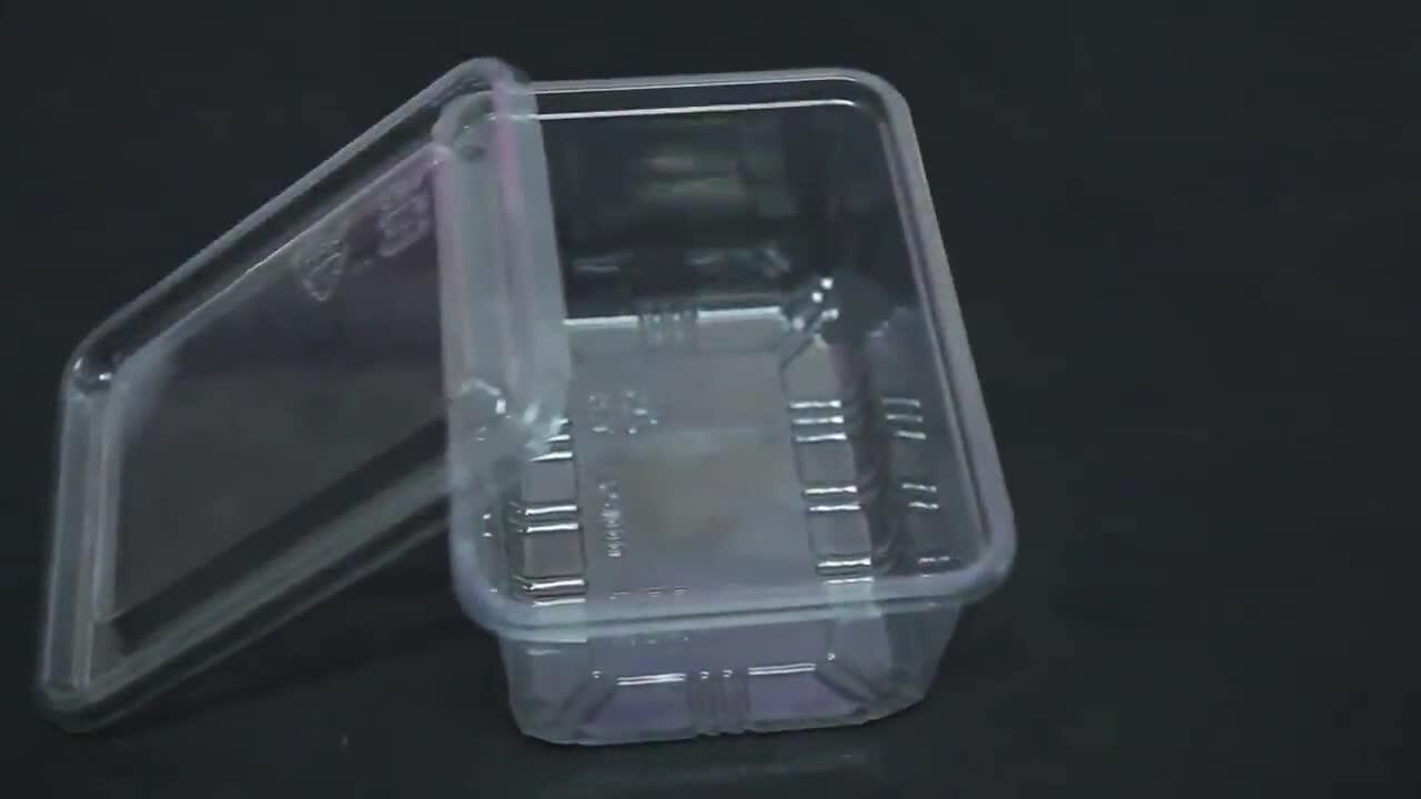Disposable Plastic Clamshell Fruit Packaging Container Take Away Fresh