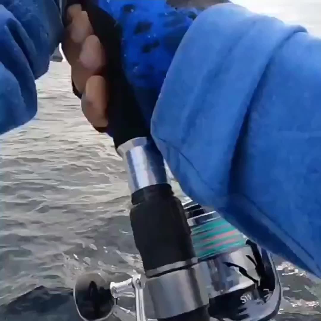 Lurekiller FUJI Big Game Popping Fishing Rod - High Carbon Fiber