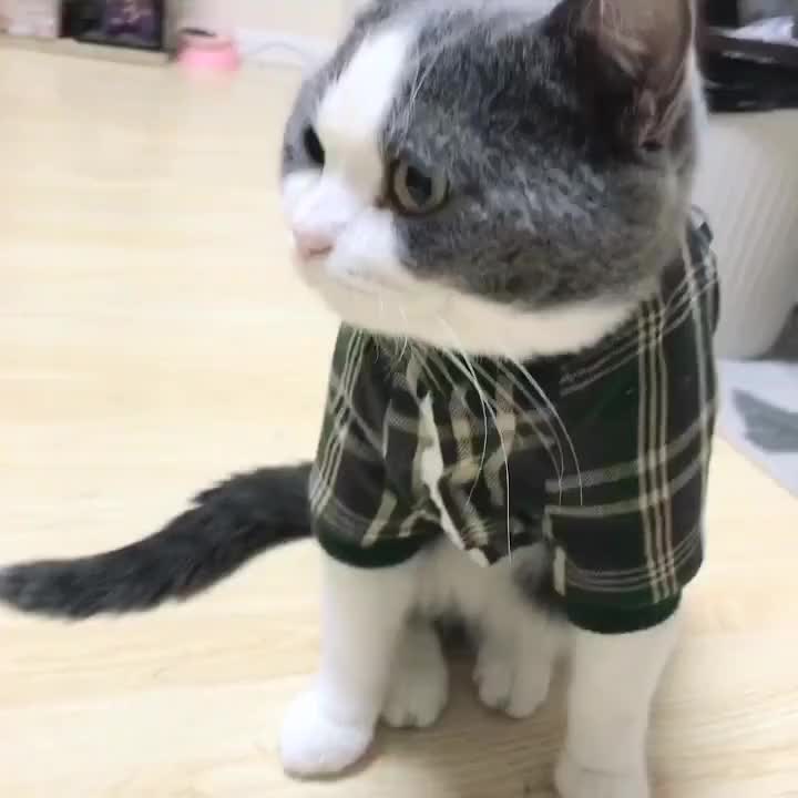 Chuckyy Dog Costume Amazon Hot Selling Funny Pet Chucky Dog Clothes