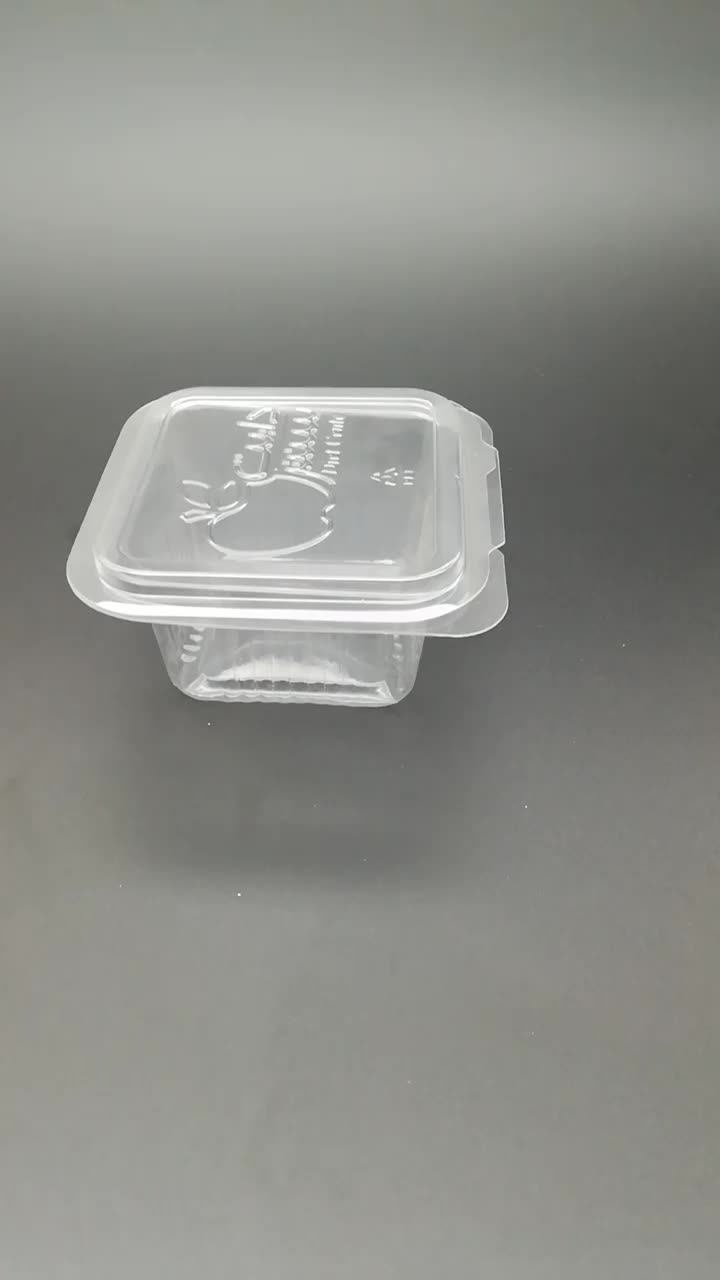 Disposable Plastic Fruit Food Container,Small Food Grade Plastic Fruit