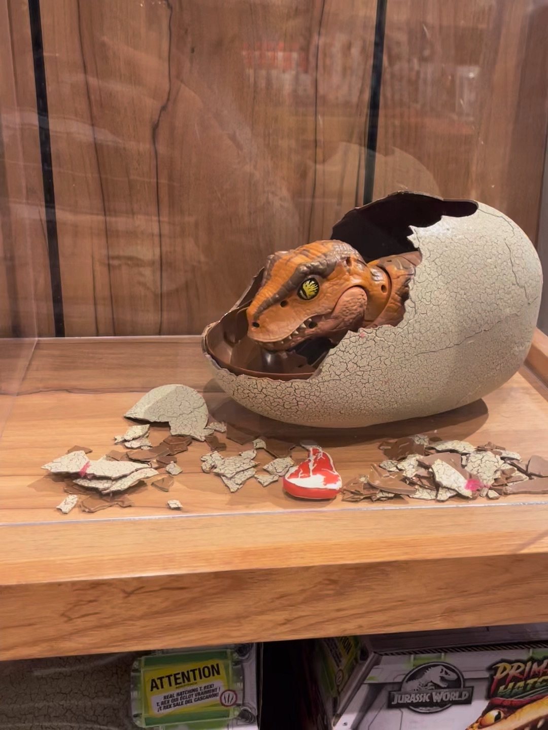 菲律賓科隆島追逐「儒艮」美人魚| by Beach Grandma | Medium, image size:1080x1440