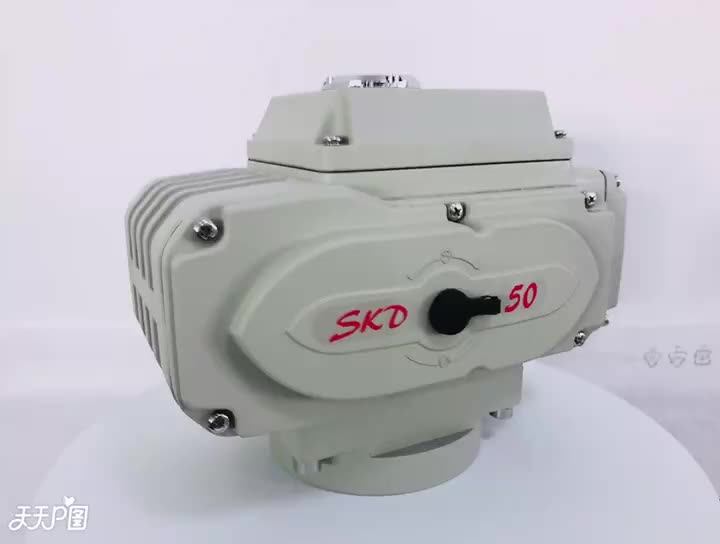 Skd05 Switch Type Electric Actuator Ac110v 380v 24v Dn5dn600 With