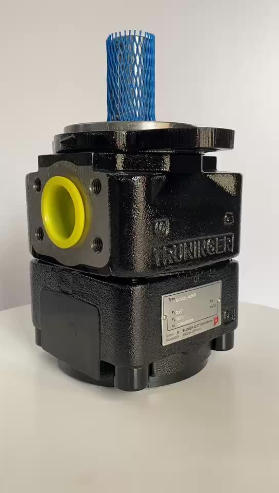 Bucher Hydraulic Gear Motor Qxm42/32020/025/032r/lhsfsk Qxm42020rhsfskrg1pa Buy Gear