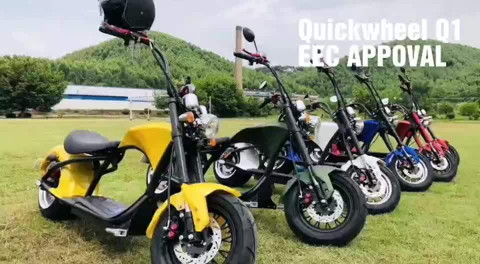 Holland Warehouse 2020 2000w Big Wheel Electric Scooter City Coco For