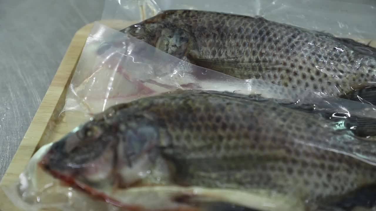 Sea Foods And Frozen Foods Fish Frozen Tilapia Buy Sea Food Tilapia