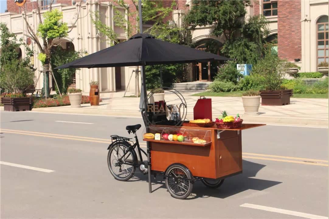 T04d 2021 New Classical Coffee Cargo Bike Three Wheels Mini Electric