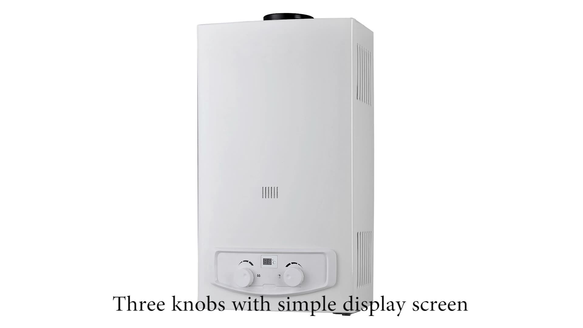 6l 8l 10l 12l 14l 16l 20l Natural Boiler Instant Gaz Propane Tankless