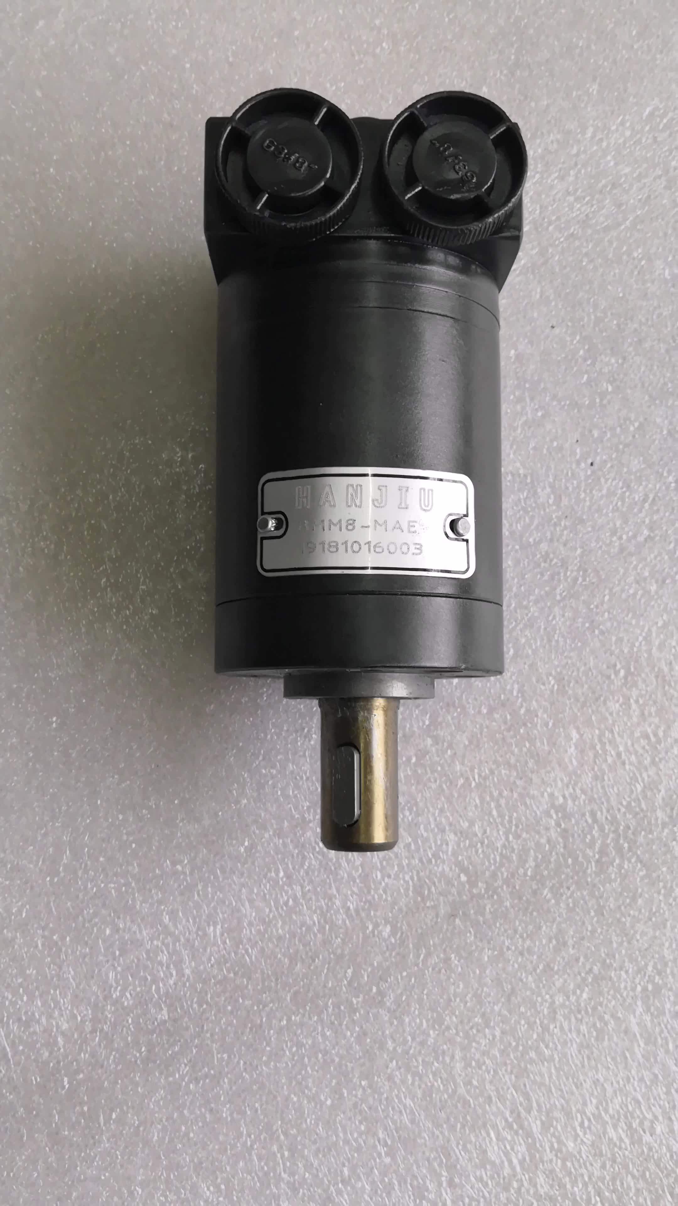 Bmm Omm Mm Hydraulic Motor For Hydraulic Oil Boat Motor Machine