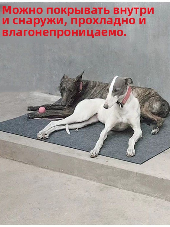 狗垫子防撕咬宠物地垫用狗窝四季通用大型犬防滑防水狗笼垫板耐磨