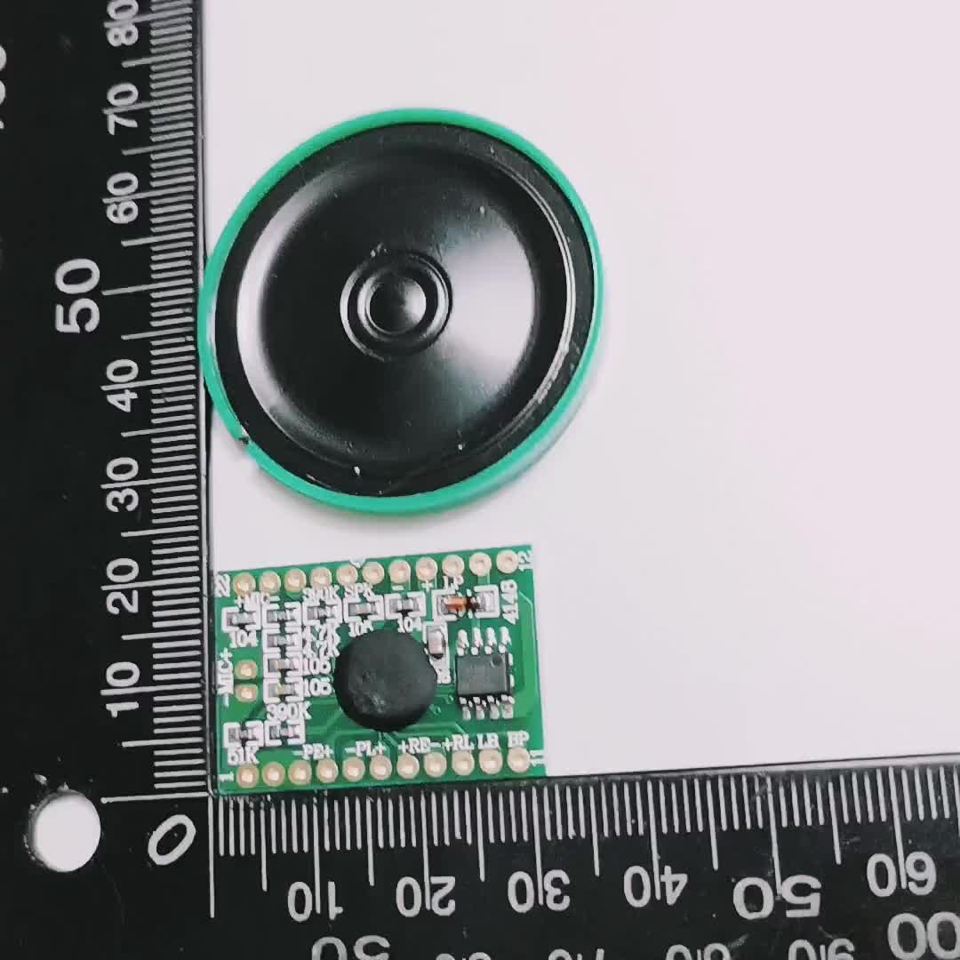 Taidacent Greeting Card Sound Recorder Chips 4 Minutes 2 Minutes 30 60