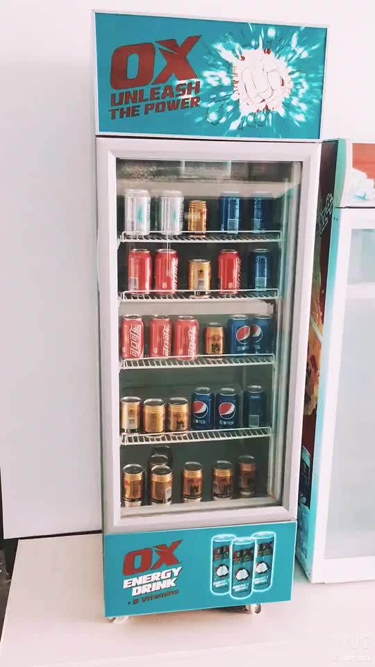 190l Single Door Beer Bottle Juice Commercial Upright Fridge Sc190b