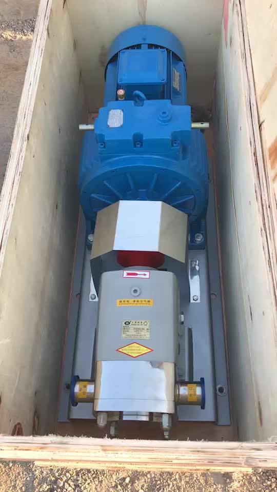 Small Food Grade Positive Displacement Rotary Lobe Pump Buy Rotary