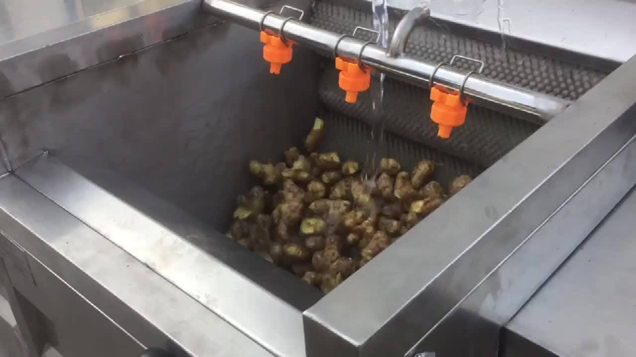 Automatic Ginger Peeler / Vegetable Brush Washing Machine Buy