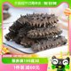 Gongpin organic light-dried sea cucumber 7-11 pieces/50g sea cucumber ready-to-eat fresh seafood dried sea cucumber