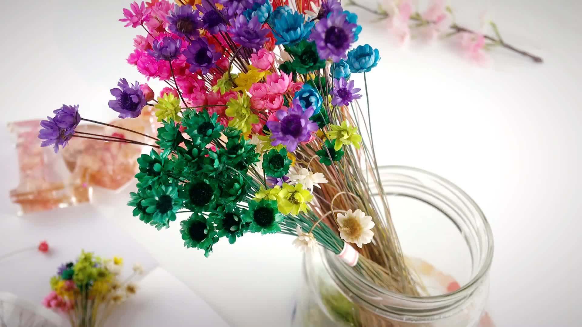 Dried Flowers Silicone Resin Jewelry Material Diy Home Decoration Natural Flower Brazil Star