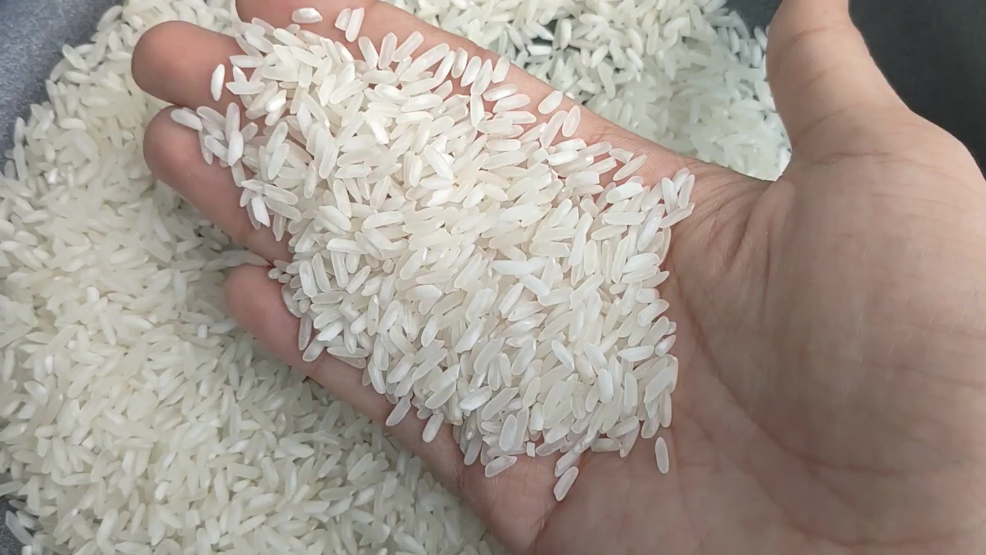 Low Price High Quality 504 Rice Manufactures In Vietnam White Rice Our Capacity Supplies 20000