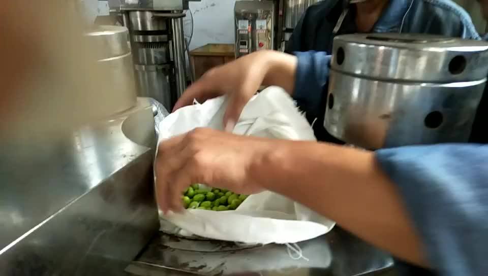 300kg/day Commercial Hydraulic Mustard Oil Expeller Machine Oil Press