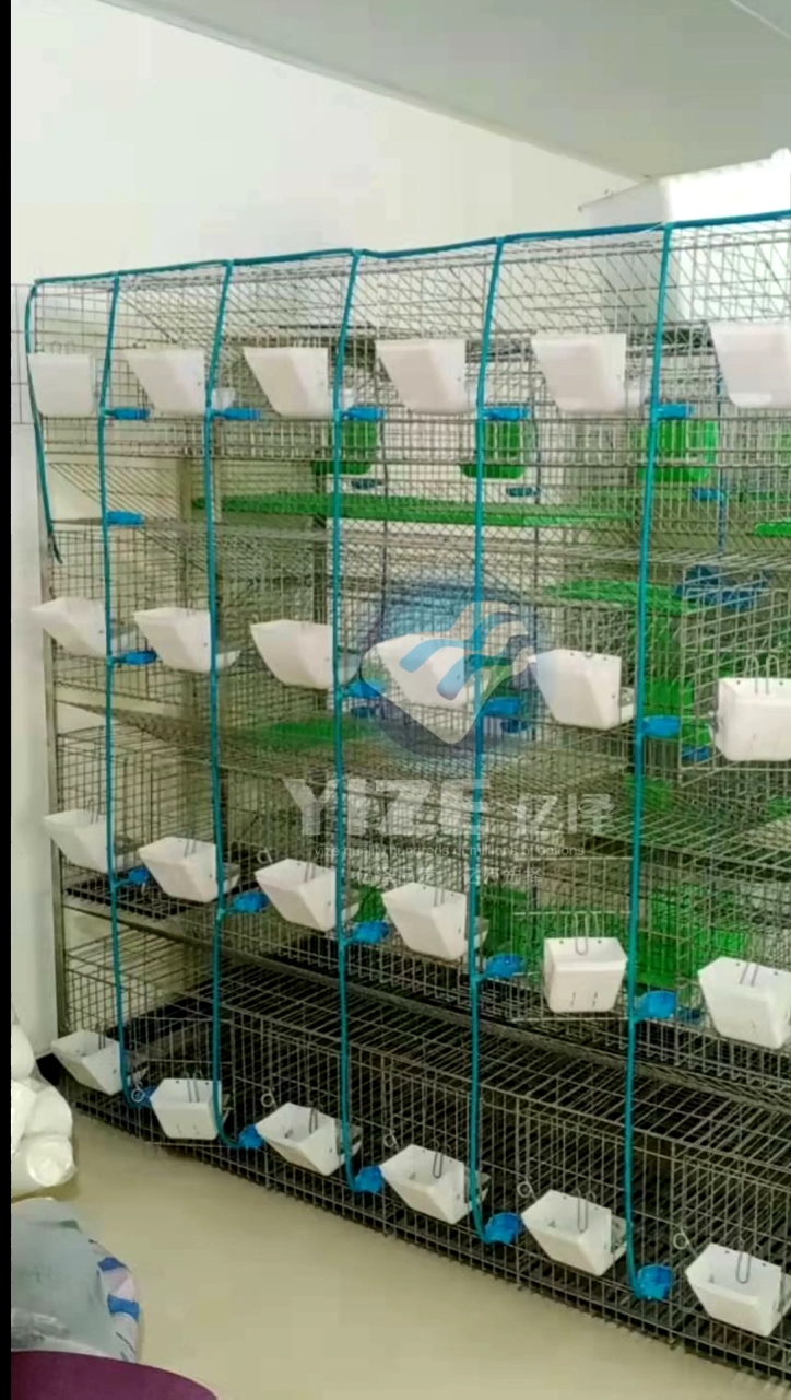 Hot Sale 24 Doors Industrial Rabbit Cages / Rabbit Cages For Sale Stack