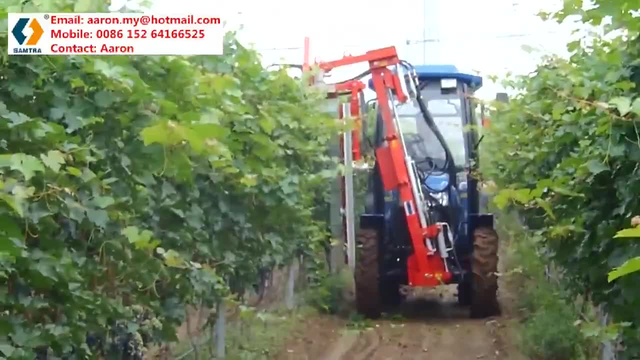 vine pruner