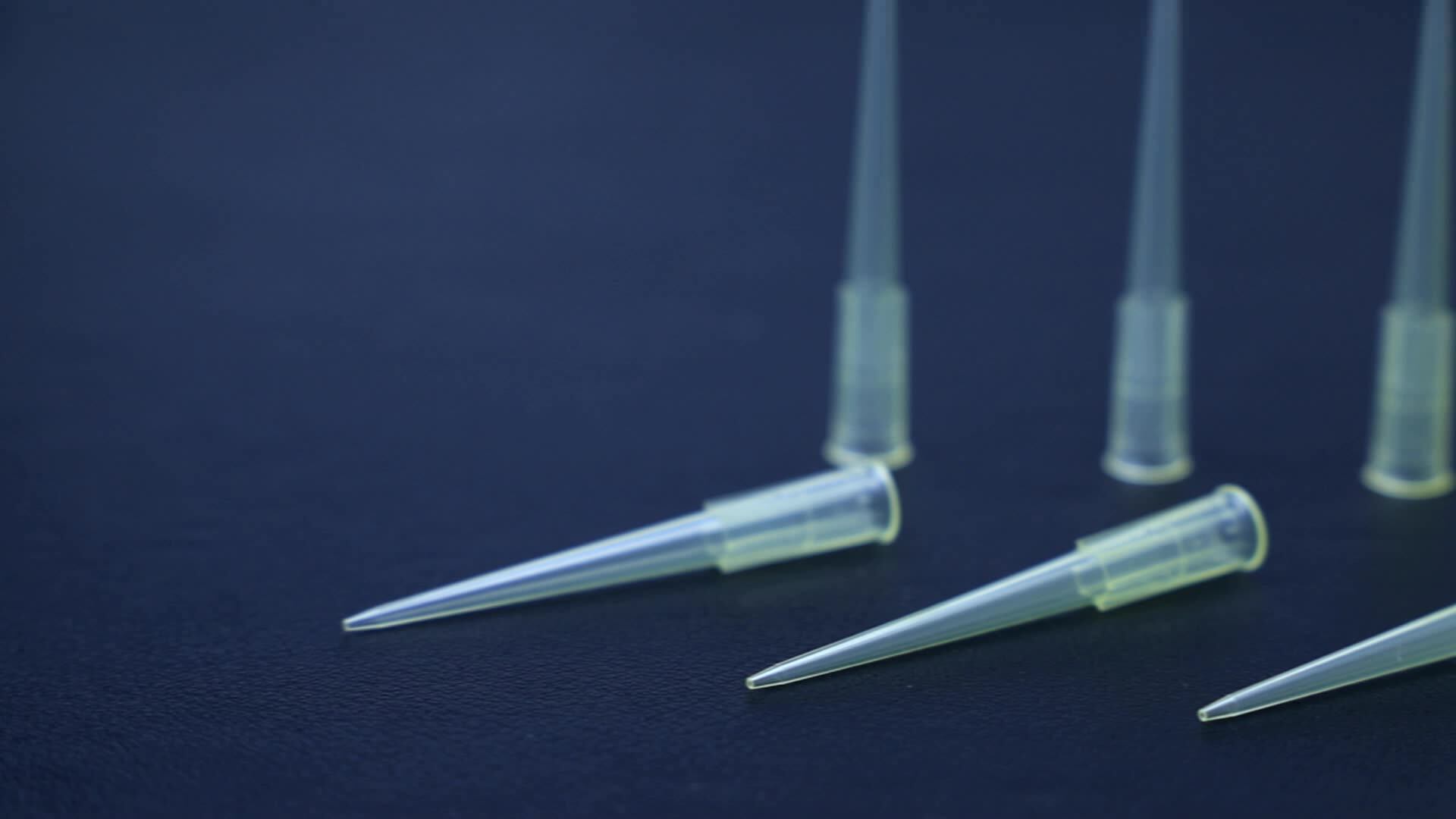 Pipette Tip Polypropylene 10ul Pipette Tips 96holes Laboratory Box