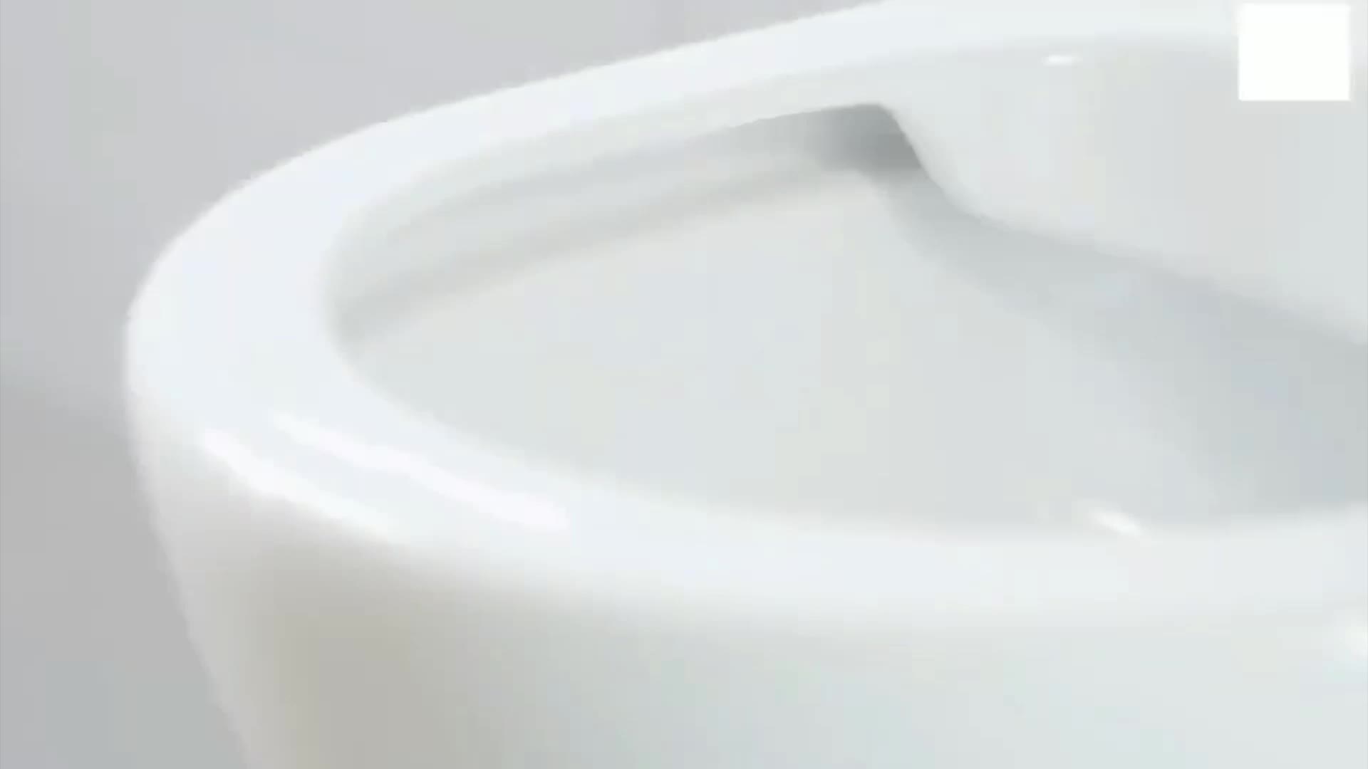 two piece wall mounted toilet