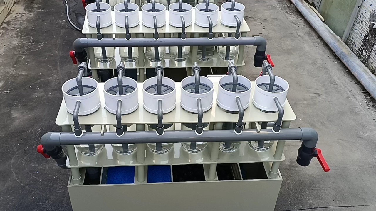 Aquaculture Acrylic Glass Tilapia Mossambica Eggs Incubator Fish Farm Incubator For Hatching Egg