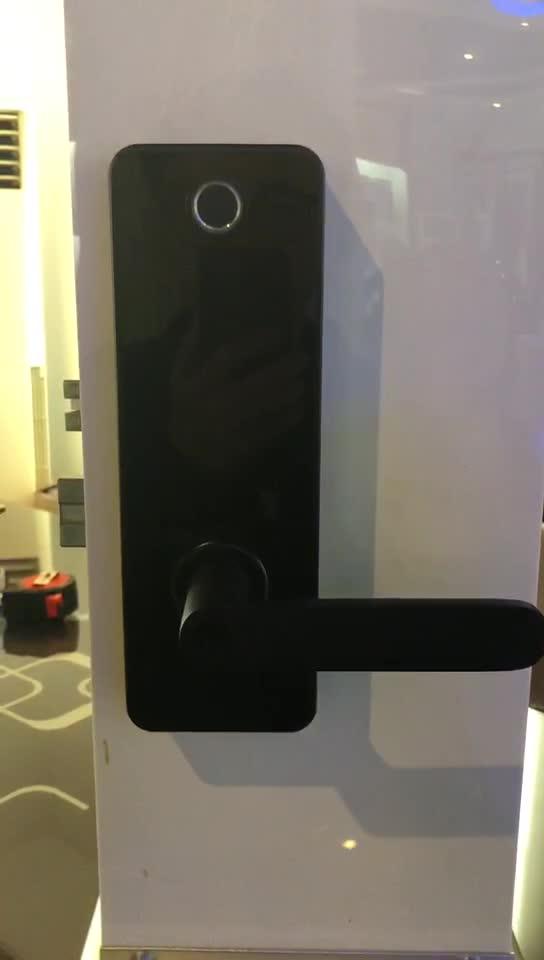 Keyless Fingerprint Wifi Digital Security Cheap Door Knob Lock,German Door Lock,Door Electric