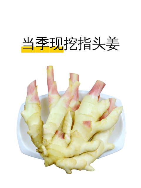 当季现挖指头姜-淘宝逛一逛